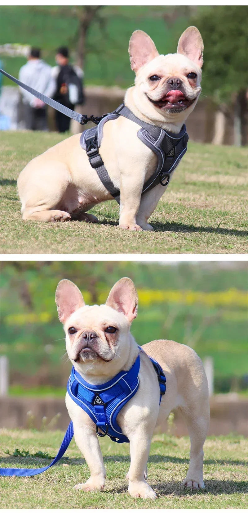 No-Pull Reflective Dog Harness & Leash Set